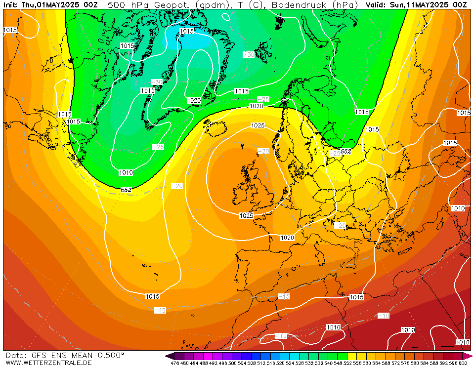 NCEP Ensemble 500 hPa (+240h)